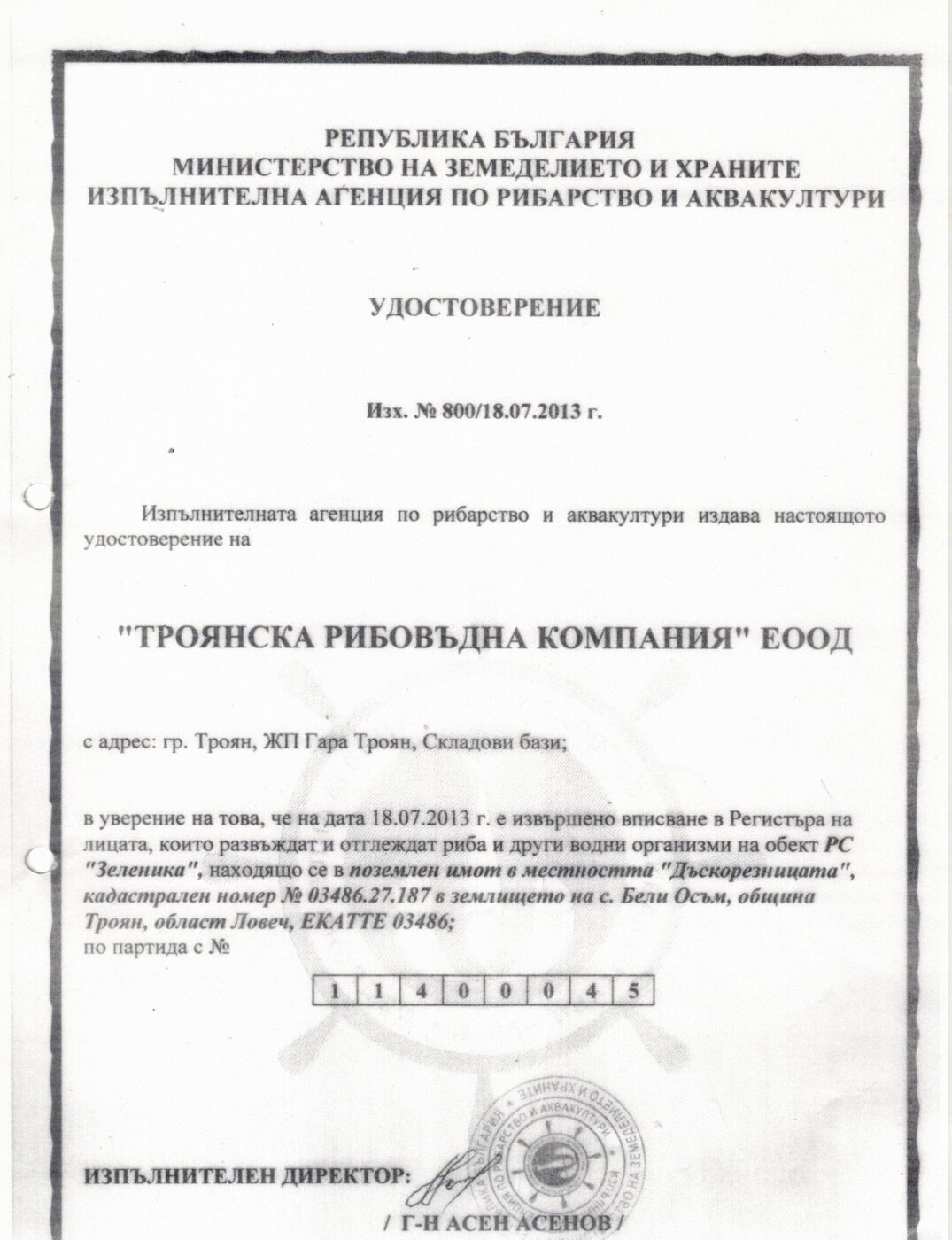 Снимка Елемент: от автора 1783771971793